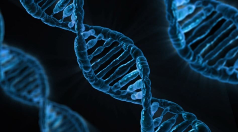 CRISPR gene editing method used in humans
